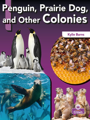cover image of Penguin, Prairie Dog, and Other Colonies
